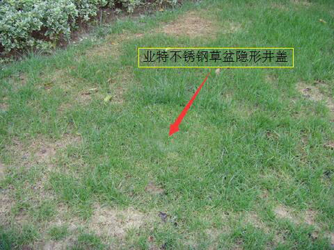 业特不锈钢草盆井盖案例图 业特不锈钢草盆井盖案例图