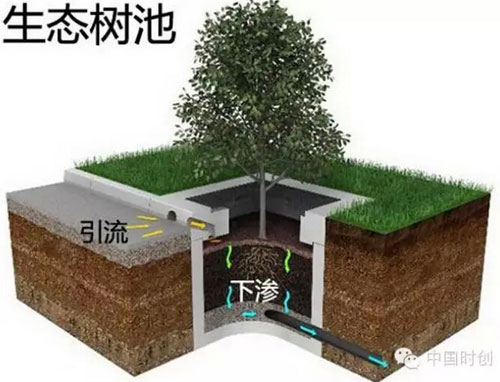 生态树池