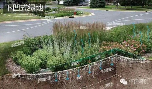 下凹式绿地