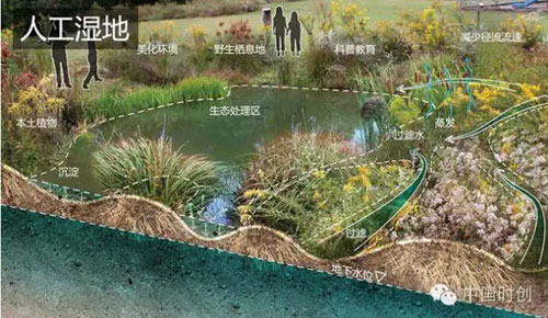 人工湿地