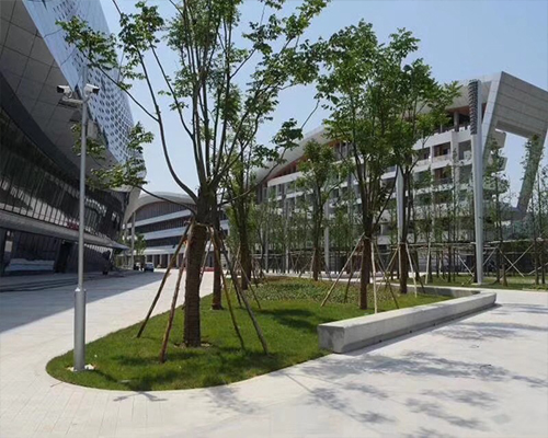 路面排水沟